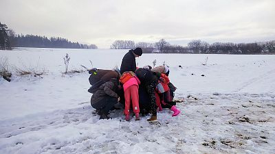 2022 Vánoční schůzka a zdobení stromečku pro zvířátka