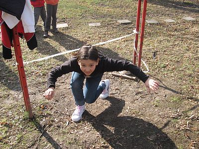 Jestřábi 2010