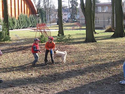 Jestřábi 2010