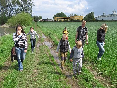 Jestřábi 2010