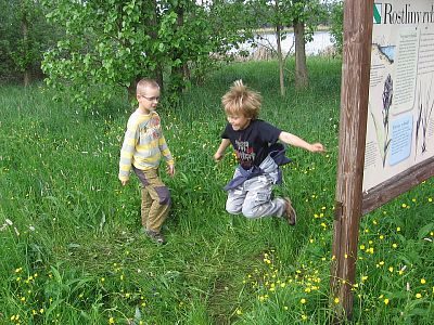 Jestřábi 2010