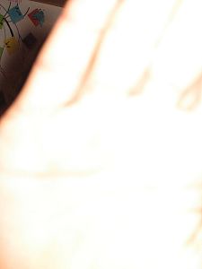 Káňata 2007/2008