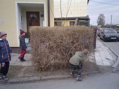 Káňata 2017/2018