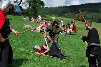LT Damašek 2010 (Robin Hood)