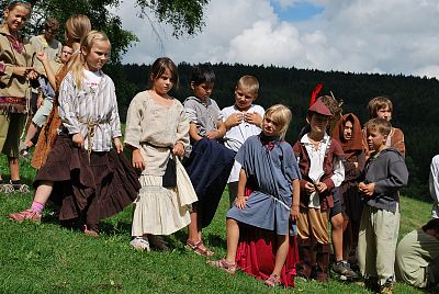 LT Damašek 2010 (Robin Hood)