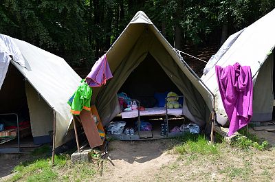 LT Damašek 2016 (Western)