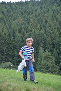 LT Damašek 2016 (Western)
