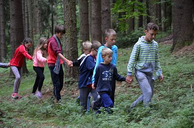 LT Damašek 2016 (Western)