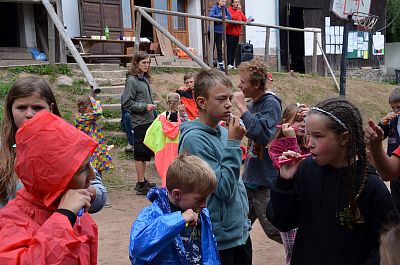 LT Damašek 2016 (Western)