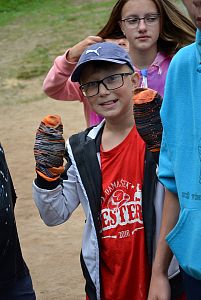 LT Damašek 2016 (Western)