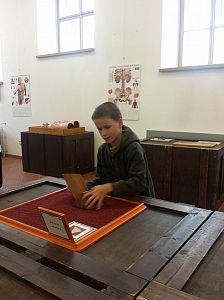 LT Damašek 2016 (Western)