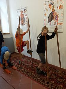 LT Damašek 2016 (Western)