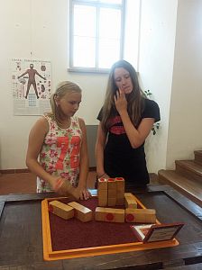 LT Damašek 2016 (Western)