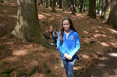 LT Damašek 2016 (Western)