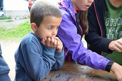 LT Damašek 2016 (Western)