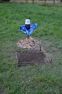 LT Damašek 2017 (Tajuplný ostrov)