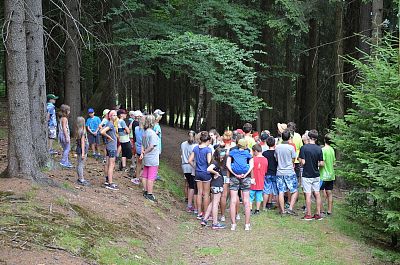 LT Damašek 2017 (Tajuplný ostrov)