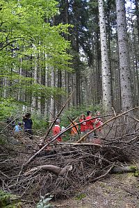 LT Damašek 2021 (Narnie)