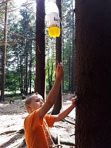 LTŠ Svratouch 2017 (Harry Potter)
