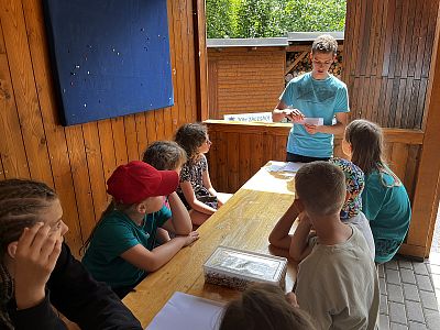 LTŠ Svratouch 2024 (Pohádkové Království)