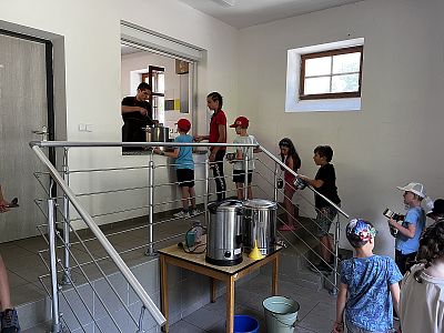 LTŠ Svratouch 2024 (Pohádkové Království)