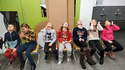 Vánoční schůzka a zdobení stromečku pro zvířátka
