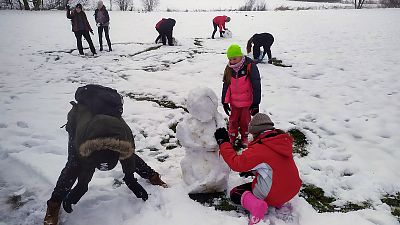 Vánoční schůzka a zdobení stromečku pro zvířátka