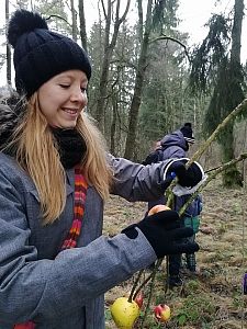 Zdobení stromečku  23. 12. 2017