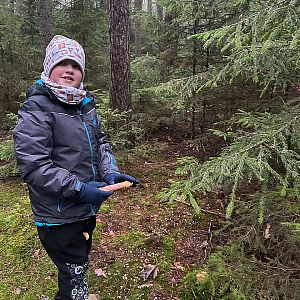 Zdobení stromečku pro zvířátka 2025