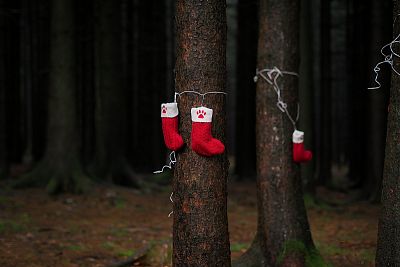 ZOH na Svratouchu 2025