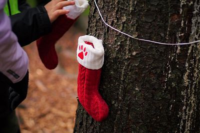 ZOH na Svratouchu 2025