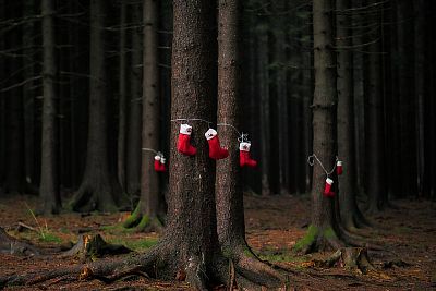 ZOH na Svratouchu 2025